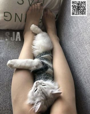 chinese自拍videos_剧情片免费全集观看