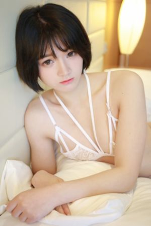 成人超碰在线av视频tv破解版_在线视频网